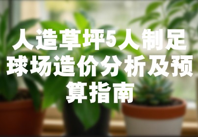 人造草坪5人制足球场造价分析及预算指南