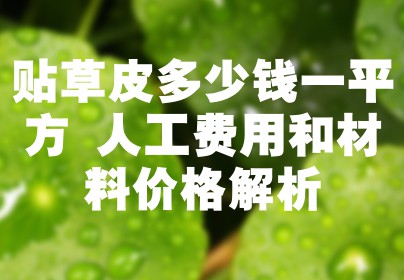 贴草皮多少钱一平方 人工费用和材料价格解析