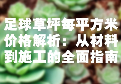 足球草坪每平方米价格解析：从材料到施工的全面指南